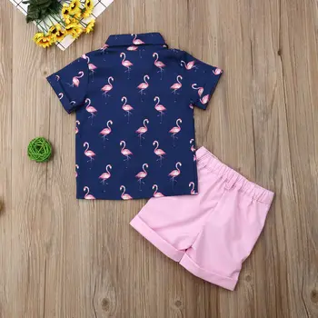2 ks Nastaviť, Batoľa, Dieťa Baby Chlapci Oblečenie Flamingo Tlač Topy T-shirt Ružové Šortky, Nohavice, Oblečenie Letné 1-6Y